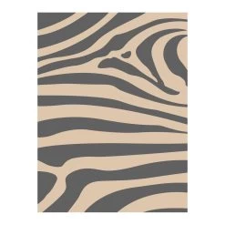 Safarica Safarimat Tenttapijt 270 X 400 Zebra Beige -Professionele winkel voor kampeerartikelen 139750 180 04